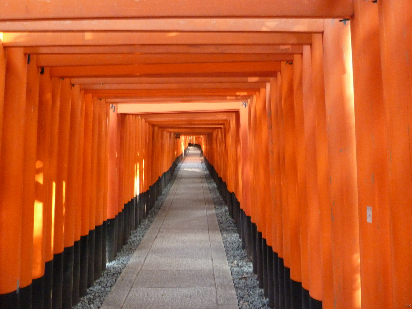 京都（祇園～東山・嵐山・他）